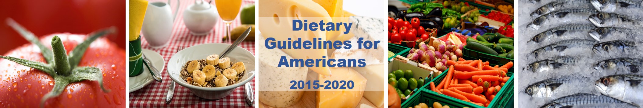 2015 2020 Dietary Guidelines For Americans